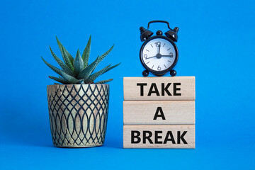 Take a break symbol. Concept words Take a break on wooden blocks. Beautiful blue background with succulent plant and alarm clock. Business and Take a break concept. Copy space.