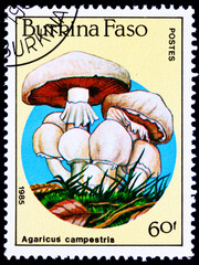 Burkina Faso postage stamp with mushrooms.