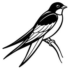 Colorful Illustration of a Swallow Bird Sitting on a Branch