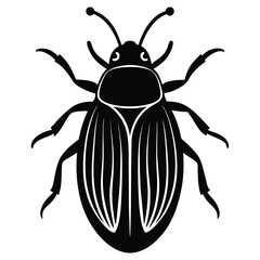 June Bug Insect Vector
