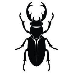 Stag Beetle Insect Illustration