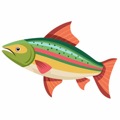 Realistic Rainbow Trout Fish Illustration Isolated on White Background