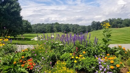Biltmore Estates - Asheville, North Carolina - Vanderbilt - Gardens 