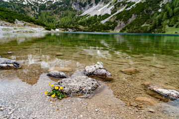 Seebensee Lake with Mountain Backdrop near Ehrwald, Tyrol, Austria