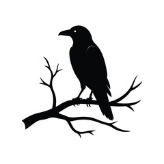 Raven bird on tree branch vector silhouette on white background


