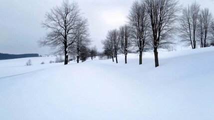 A snow-covered path stretches through a tranquil winter landscape, flanked by bare trees. The overcast sky casts a soft light on the white terrain, depicting a peaceful scene during winter.