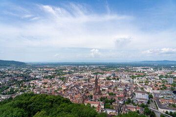 Panoramic Cityscape View with Historic Cathedral and Urban Surroundings