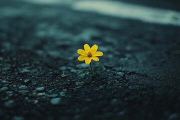 Single Flower Breaking Asphalt Representing Strength and Hope, Copy Space on Right
