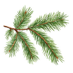 Detailed view of a fresh evergreen branch highlighting vibrant green needles and sturdy brown stem