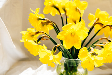 Bright yellow daffodils arranged in a glass vase on a light background during daylight