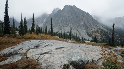 Mist clinging to jagged rock peaks in a moody, overcast forest atmosphere