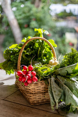 basket with organic vegetables