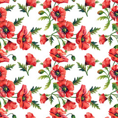 Large red poppy flowers, collection of watercolor flowers, seamless pattern on white background.