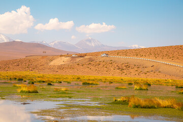 A winding desert road skirts the vibrant Vado Putana wetland in Chile’s Atacama Desert, with...