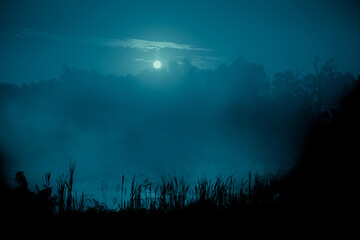 Night mystical scenery. Full moon over foggy river with reeds silhouettes on the foreground.