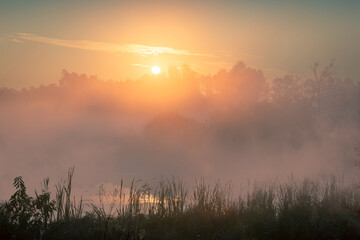 Beautiful calm misty sunrise over foggy river with reeds on a foreground. Epic scenery.