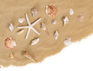 Coquillages et étoile de mer sur un fond de sable de plage
