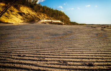 Ridges in Sandy Coastal Landscape