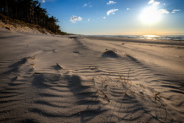 Golden Sunlight Over Coastal Sands