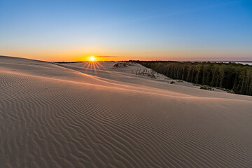 Golden Sunset Over Desert Sands