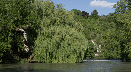 Saule pleureur en bord de rivière	