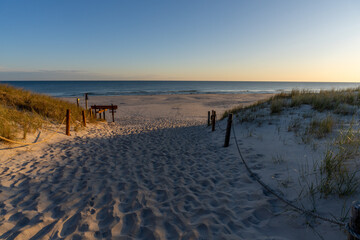 Sunlit Path Leading to Beach