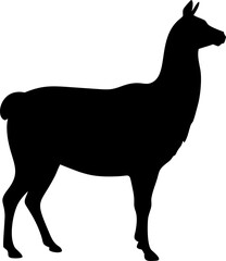 Elegant black silhouette illustration of a llama standing gracefully showcasing its side profile with a clean and modern design aesthetic
