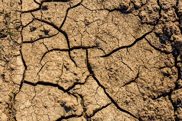 Background of the cracked dry barren soil. Global warming concept