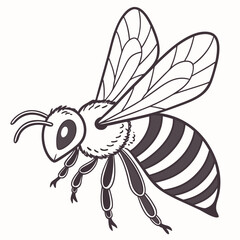 Anatomy and Details of the Honey Bee Illustration for Educational Purpose