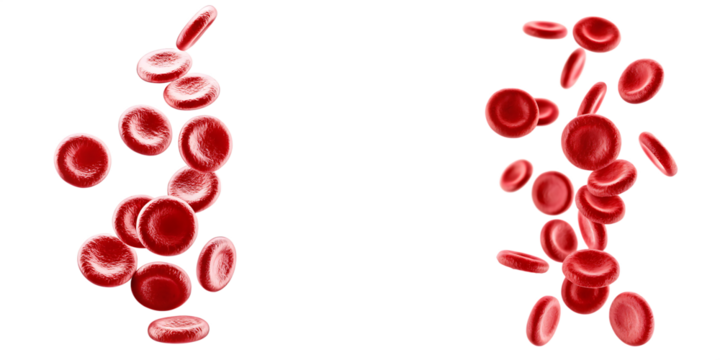 Red blood cells floating isolated on a white background png ai generated