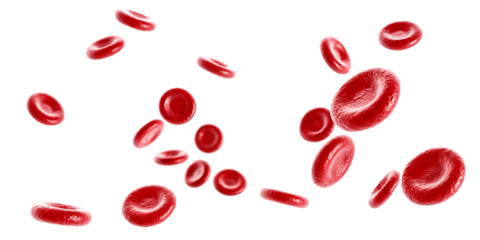 Red blood cells microscopic view isolated on a white background png ai generated