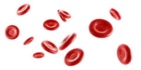 Red blood cells microscopic view isolated on a white background