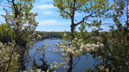A serene river framed by flowering trees under a bright blue sky, evoking calm. Surrounded by dense...