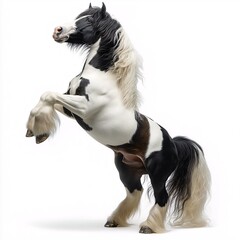 Majestic Black and White Stallion Rearing. Photorealistic Equine Portrait in Nature