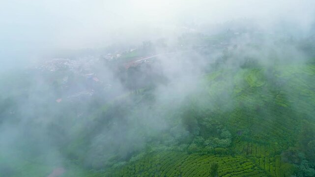 Drone video of fully green tea estate mountain and trees, drone flies through mis over small town