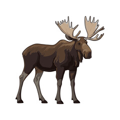 Moose Illustration: Majestic moose with massive antlers illustrated against plain backdrop, evoking a sense of wildlife and wilderness.