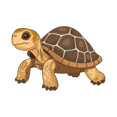 Tortoise Illustration: A charming cartoon tortoise depicted in vibrant detail, rendered with a blend of playful artistry and lifelike characteristics, captures a sense of nature.