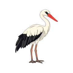 Elegant Stork Portrait: A majestic stork stands tall, showcasing its striking plumage and slender form. Capturing the grace and elegance of this iconic bird.
