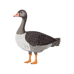 Graceful Goose Portrait: A captivating illustration of a goose standing in a side profile, showcasing its elegant posture and detailed plumage. A striking presentation for any design.