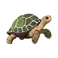Turtle's Steady Stride: Capturing the essence of a turtle's steadfast journey, an illustration showcases the intricate details of the reptile, conveying a sense of calm and determination.