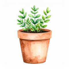 Fototapeta premium Watercolor Painting of Green Plant in Terracotta Pot