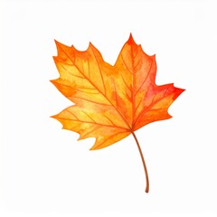 Obraz premium Watercolor Orange and Red Maple Leaf on White Background