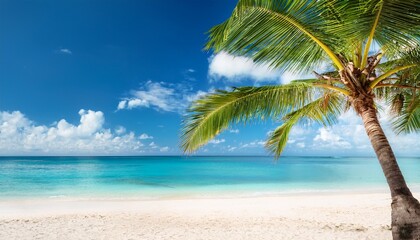 Fototapeta premium palm tree on tropical beach with blue sky and white clouds abstract background copy space of summer vacation and business travel concept