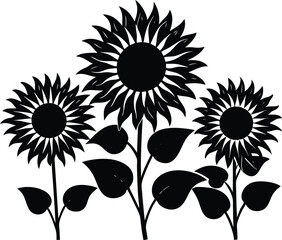 sunflowers facing sun silhouette, bright sunflowers in field silhouette