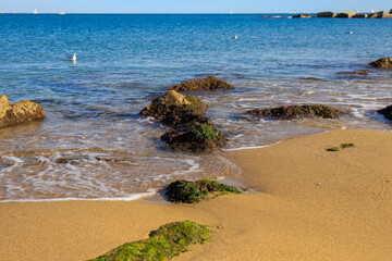  Landscape with the beach by the sea - Barcelona