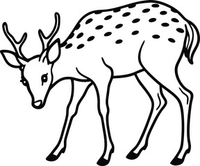 Elegant Line Art Illustration of a Fallow Deer Grazing, Featuring a Spotted Coat and Slender Legs