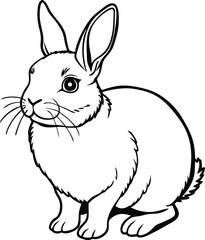 Adorable Netherlands Dwarf Rabbit Illustration A Charming Line Art Drawing of a Small, Round Bunny Looking Up
