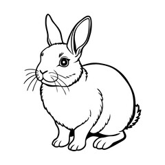 Adorable Netherlands Dwarf Rabbit Illustration A Charming Line Drawing of a Small, Round Bunny Looking Up