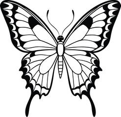 Elegant Swallowtail Butterfly Line Art Symmetrical Wings, Detailed Vector Illustration