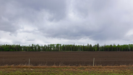 A scenic rural landscape capturing a freshly seeded agricultural field bordered by vibrant green-leaved trees under a dramatic cloudy spring sky, raining in the horizon.